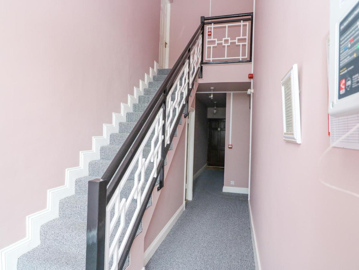 8 Scrahan Place Кілларні Екстер'єр фото